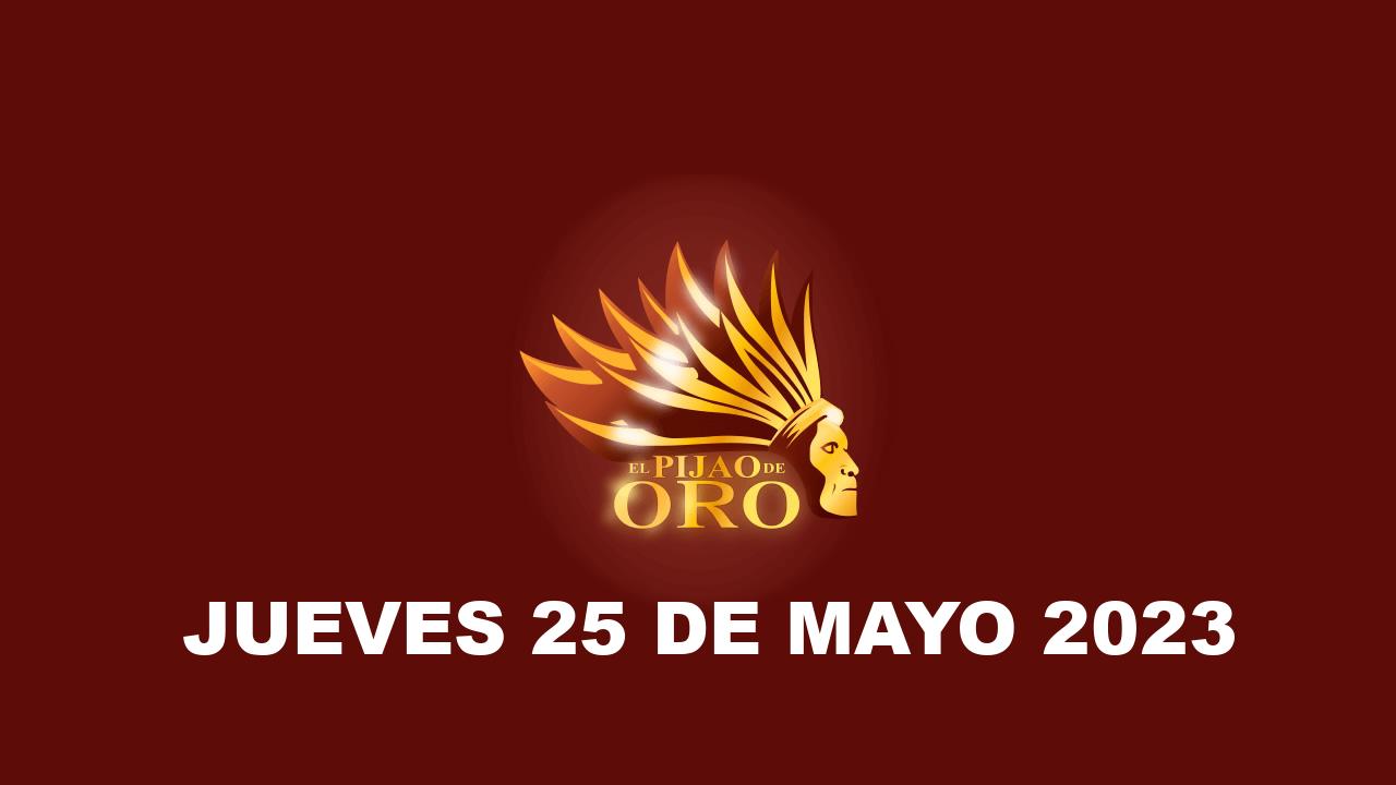 Pijao de Oro