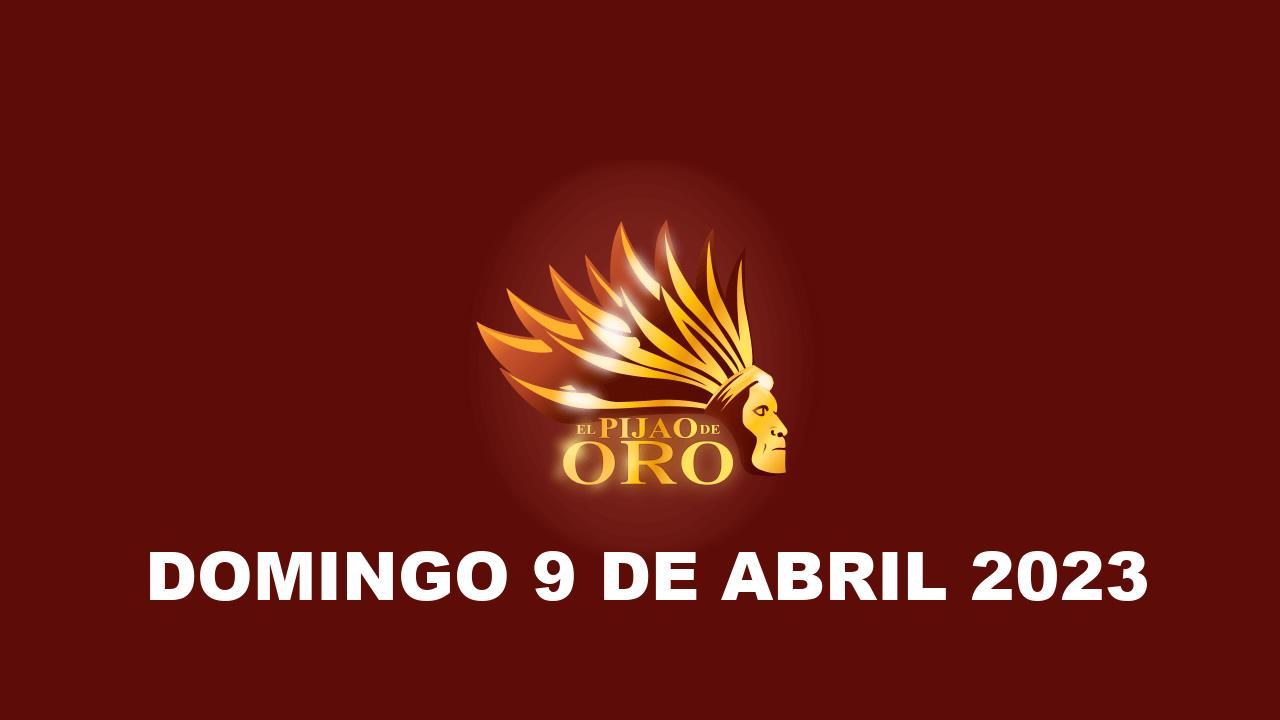 Pijao de Oro
